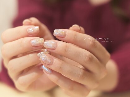 ネリネ(NERINE)の写真