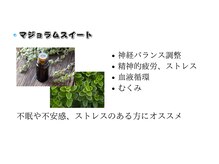 ウェルヴィー(Wellvie)/当サロンアロマ人気第1位！