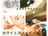 【MIX施術☆毛穴・小顔・ハリ艶特化】曇りのない素肌へ。透明感で差をつける