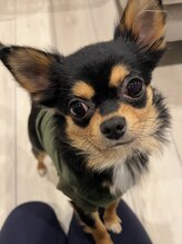 エヌフィットネス(N-fitness)&nbsp;ひめ 