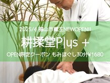 コウジュウドウプラス(耕揉堂Plus+)