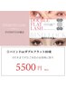 【平日限定】バインドロックorダブルフラット80束5500円/新規オフ無料