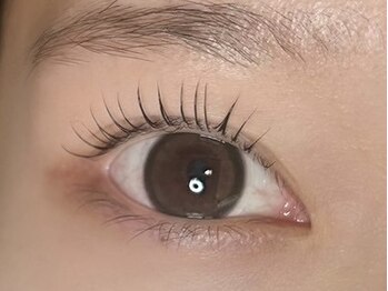 フィーヌ(Phine)/