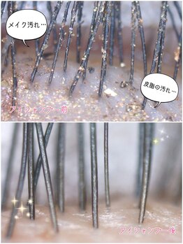 セシルビューティーラボ(CECIL beauty labo)/アイシャンプー