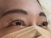 ミジョカ(Mijoca)/バインドロック80束