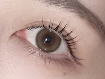 トレス(tres)/まつげパーマ