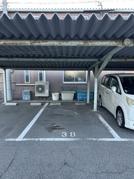 パトロジム/38番枠