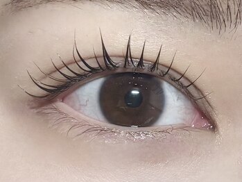 コル アイラッシュ アサブ(col eyelash asabu)/【まつ毛パーマ】