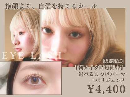 ヨキ(jogi)の写真