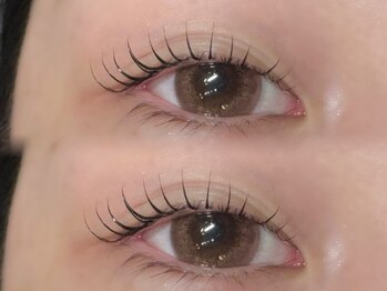 メイル(meil)/ラッシュリフト/まつ毛パーマ