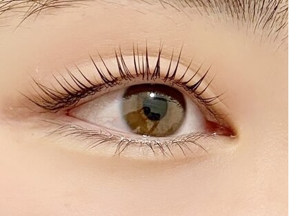 ミム(Mimu)の写真