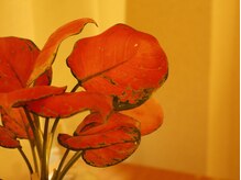 ルミナ(Lumina)/初めての方もお気軽に*メンズOK*