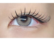 シエルエトワール(Ciel etoile)/フラットラッシュ180本