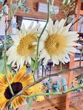 わたなべ整体院/