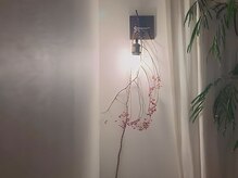 ルーチェ(Luche)/店内の様子