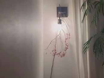 ルーチェ(Luche)/店内の様子