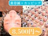 【美容鍼+無数のカッピング(うつ伏せのみ)】 3週に1回が◎