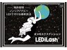 人気No2最新LEDパリエク(パリジェンヌ+フラットマットラッシュ80本)¥11550