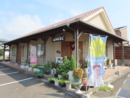 エンジェル(Angel)の写真