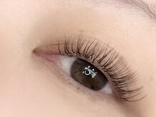 ラ シュープリーム(La SUPREME)/バインドフラット80束 ブラウン