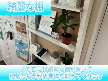 リケア道玄坂鍼灸院 渋谷(reCare)/綺麗な棚