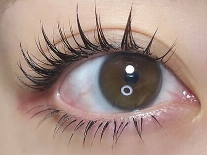 ブレスユー 北堀江(bless you)の写真