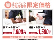 かみふくろう整骨院 整体院