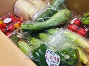 ライフ オステオパシー センター/季節の旬なもの2