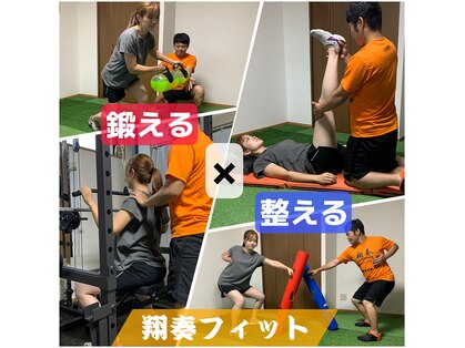 翔奏フィットの写真