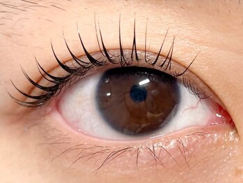 サンブラウン(SUN BROWN)/Ladies eyelash designed 