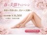 【本気の方限定】落ちない太ももに｜結果重視の美脚ケア￥16,500