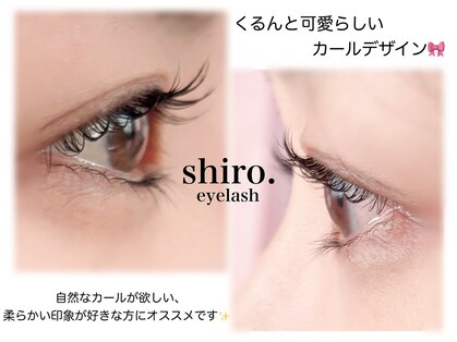 シロアイラッシュ(shiro.eyelash)の写真