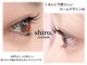 シロアイラッシュ(shiro.eyelash)の写真