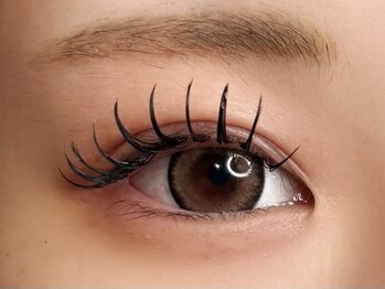 リヴェール/LEDフラット160本+&Healthy