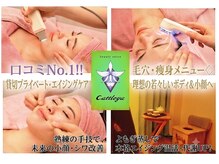 カトレア(Cattleya)