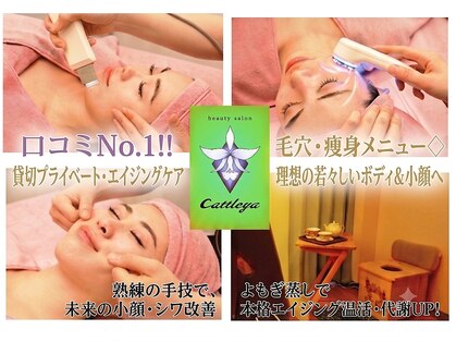 カトレア(Cattleya)の写真