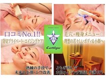 カトレア(Cattleya)