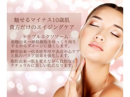 ニコ(Nico.)の写真