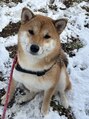アフリス(Aphris)&nbsp;愛犬ちゃん☆