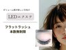 本数無制限【LED／フラットラッシュ】オフ込・カラー無料¥9,980◇なかもず