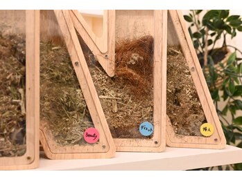 ハナン(Hanan)/3つのコースからセレクト