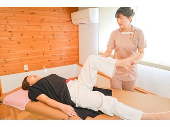 ルピナス(Lupinus)/施術の様子