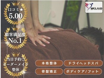 メリウス(MELIUS)