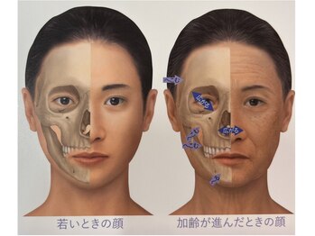 フェルナ(FERNA)/皮膚ケアだけでいいの？