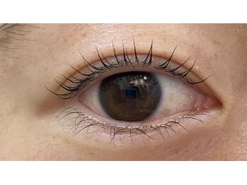 プルメリア(Plumeria)/パリジェンヌラッシュリフト