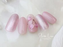 プレジールリュクス(Plaisir luxe)/5 monthly nail &nbsp;collection