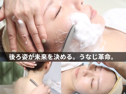 ココア(Cocoa)の写真