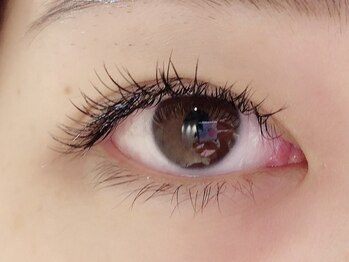 カラン 焼津店(CALIN)/フラットラッシュ140本♪