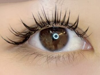 カム バイ ネオリーブ 溝の口店(Cam by neolive)/ボリュームラッシュ