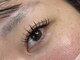 ツヤンドットアイズ(tuyan.eyes)の写真/施術後の綺麗さを長く保ちたい方に★《LEDエクステ or バインドロック》導入店◎想像以上な仕上がりへ♪